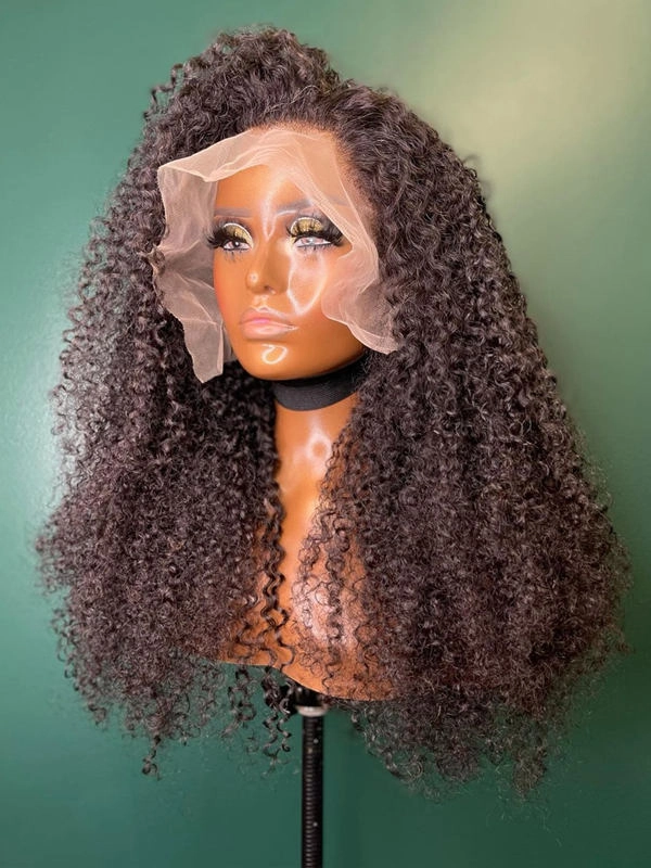 Chinalacewig Brazilian Virgin Human Hair Kinky Curly 360 Lace Front Wigs With Babyhair CF481