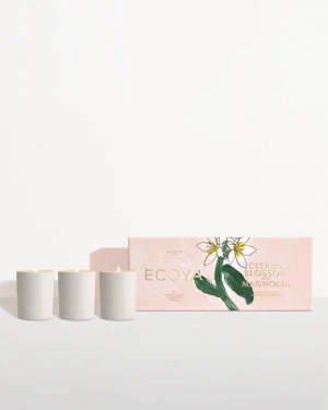 ECOYA Limited Edition Citrus Blossom & Magnolia Mini Ceramic Candle Trio Set New