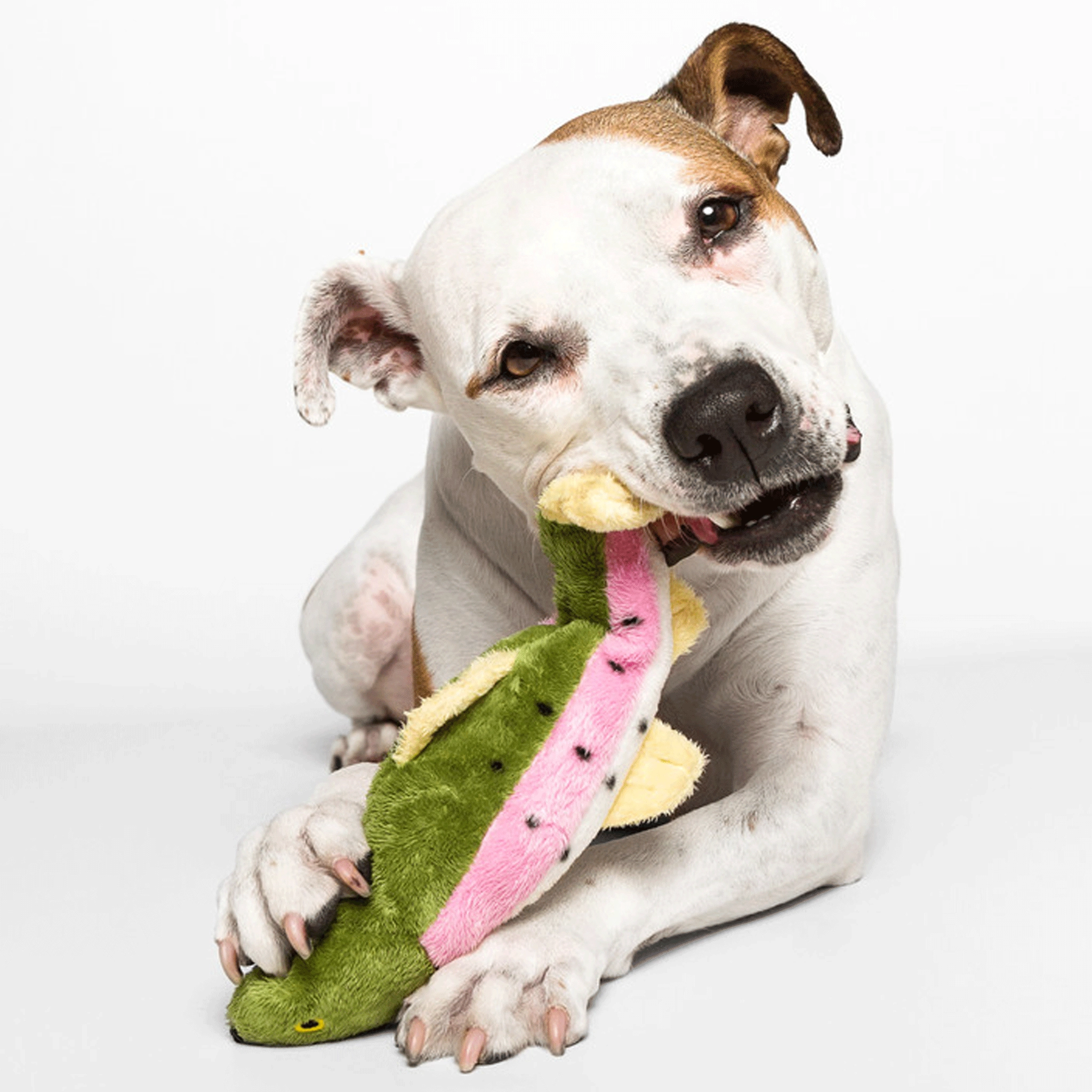 Fluff & Tuff Burt Lake Trout Dog Toys