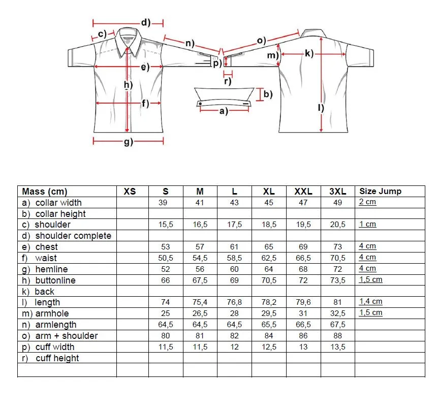 Mason Mens Western Shirt