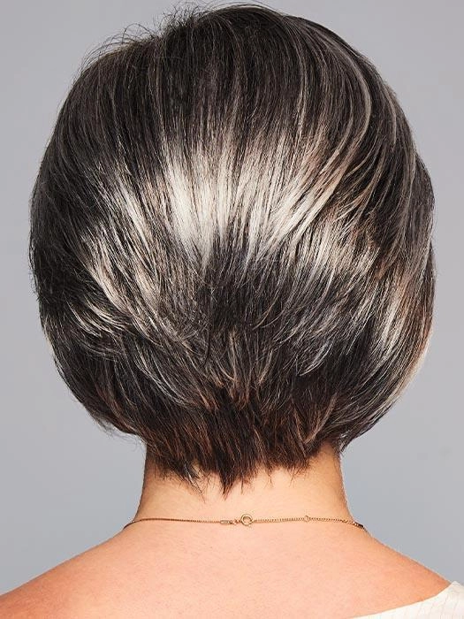 Sheer Elegance | Synthetic Lace Front Wig (Basic Cap)