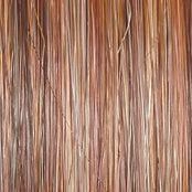 Take A Bow Wig by Raquel Welch | Heat Friendly Synthetic (Lace Front Mono)